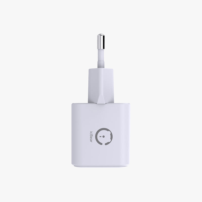 20W Wall Charger