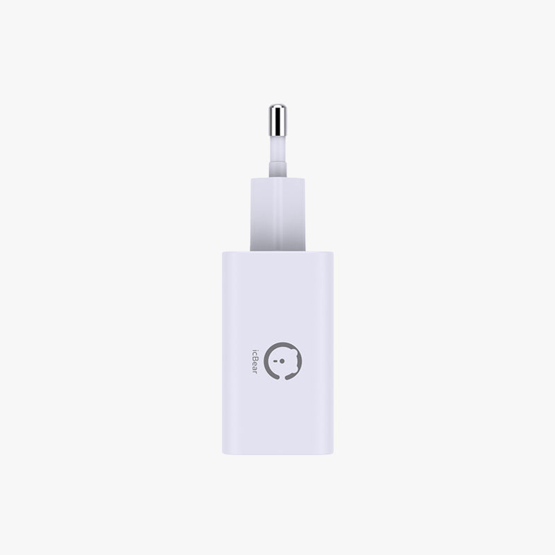 30W Wall Charger A+C