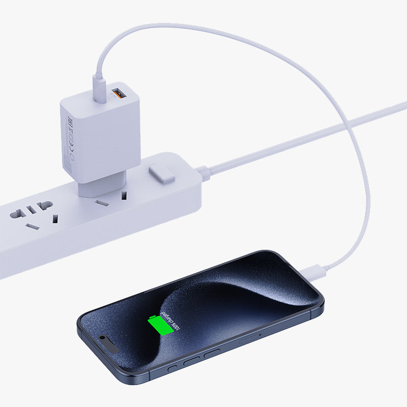 30W Wall Charger A+C